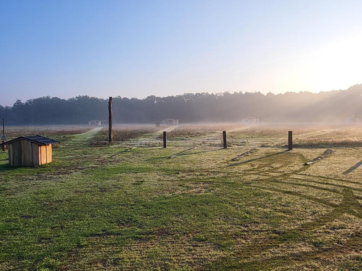 Hoeve Twente - Oeverzwaluw Villa Heythuysen ภายนอก รูปภาพ