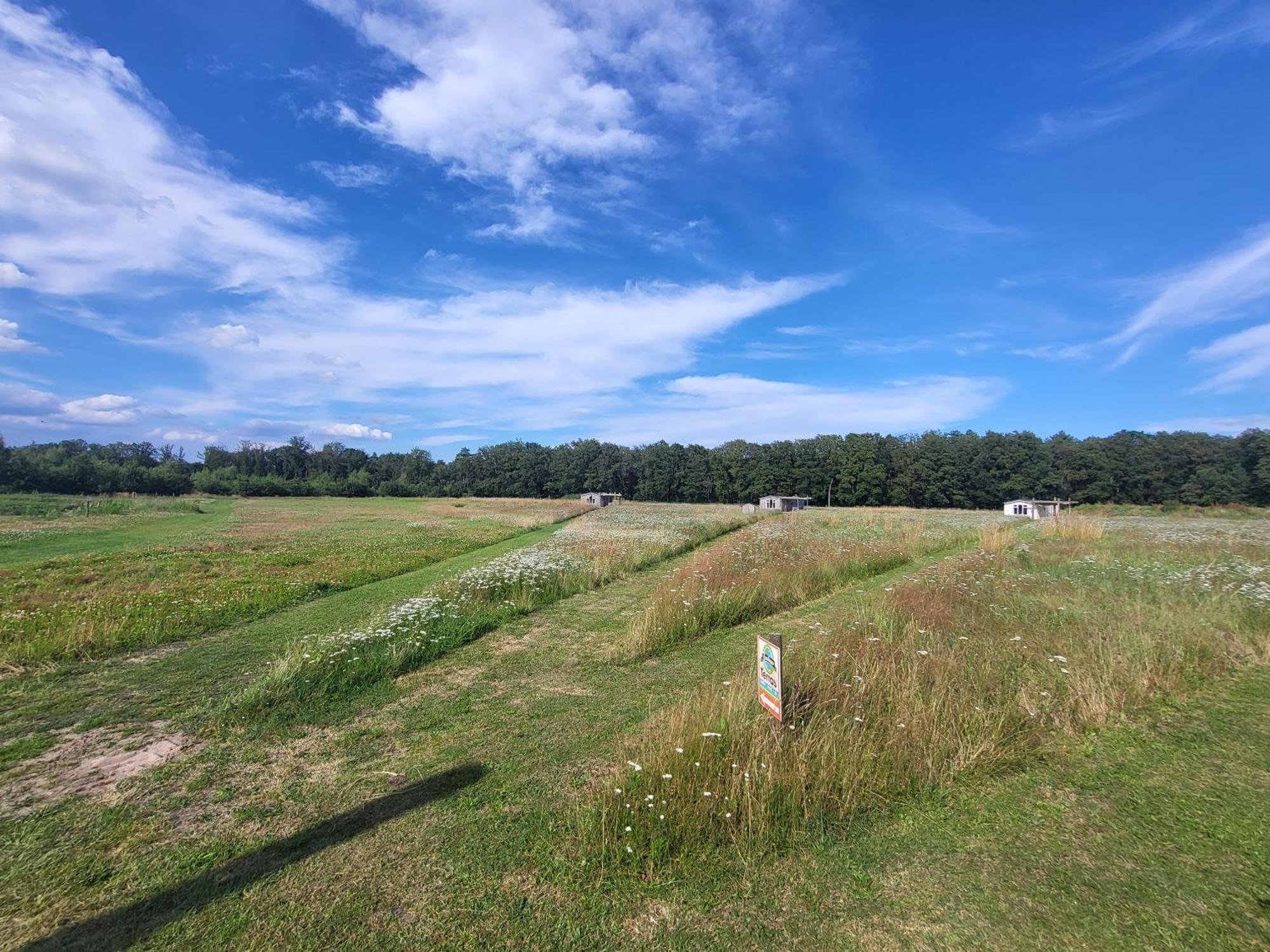 Hoeve Twente - Oeverzwaluw Villa Heythuysen ภายนอก รูปภาพ