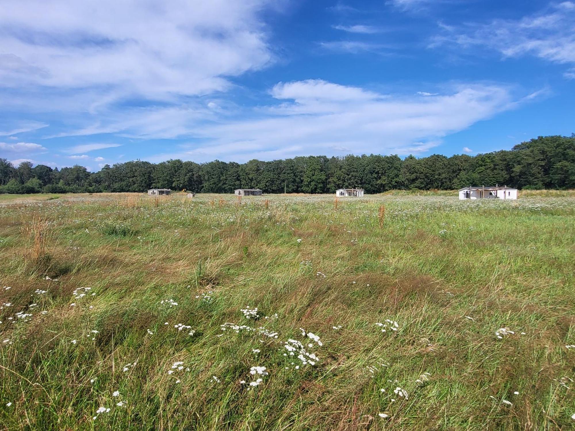 Hoeve Twente - Oeverzwaluw Villa Heythuysen ภายนอก รูปภาพ